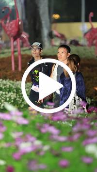 BIB:  <button type="button" onclick="openModal(27589947)" class="btn btn-primary btn-sm float-right" data-toggle="modal" data-target=".modal-high-quality">
                <i class="fa fa-download"></i> Download
                </button>